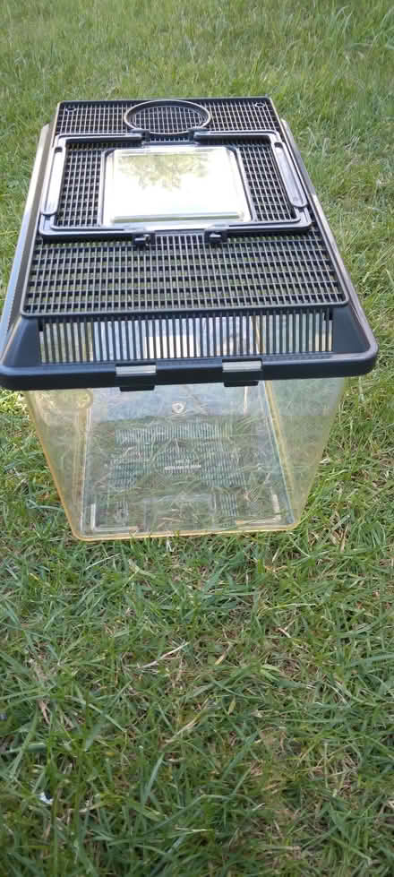 Photo of free Small rodent/fish tank (Shenley Church End MK5) #1