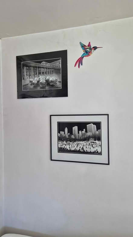 Photo of free Assorted pictures (Winchester) #2