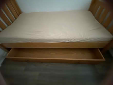 Photo of free Single bed (Watford WD25) #1
