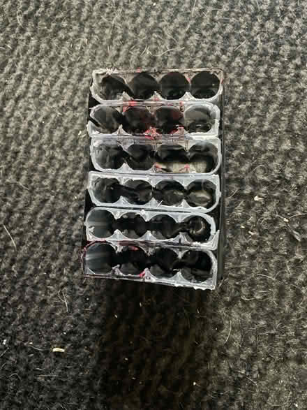 Photo of free AA/AAA Battery storage (Clayton brook PR5 8) #3