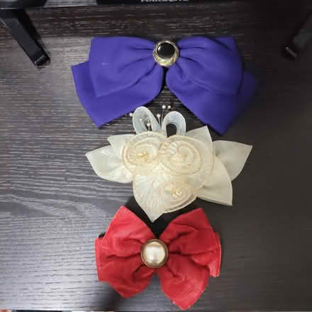 Photo of free Retro hair clips (Braddell mrt stn) #1