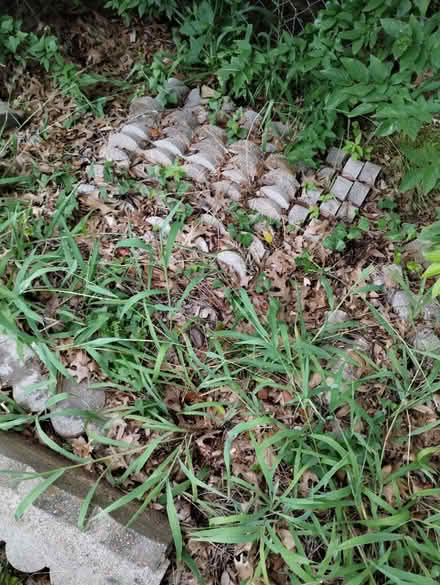 Photo of free Flowerbed edgers (Near first Baptist) #3