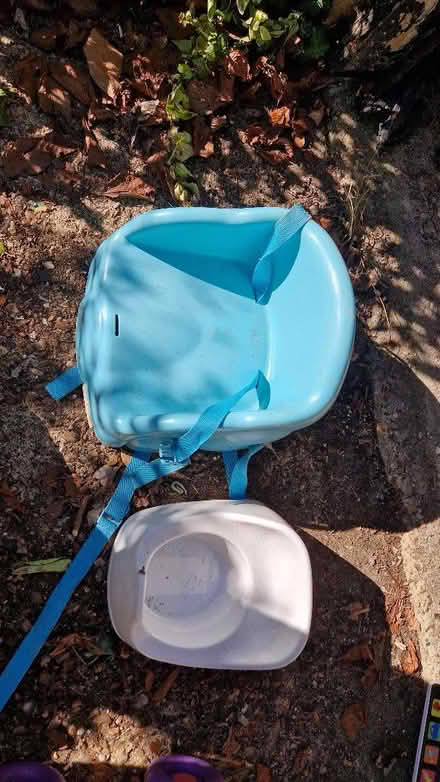 Photo of free Child's booster seat and potty (AL1) #1