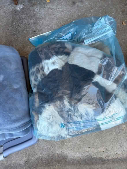 Photo of free Fur Throw (San Rafael - Terra Linda) #1
