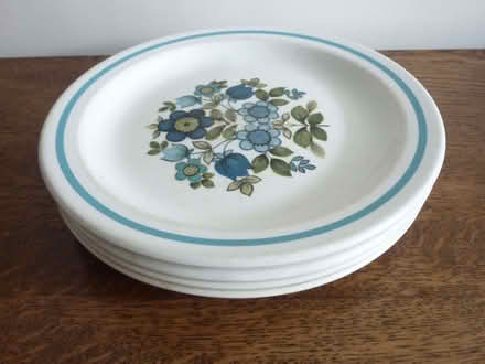 Photo of free Plates and cereal bowls (Rhydycroesau SY10) #4