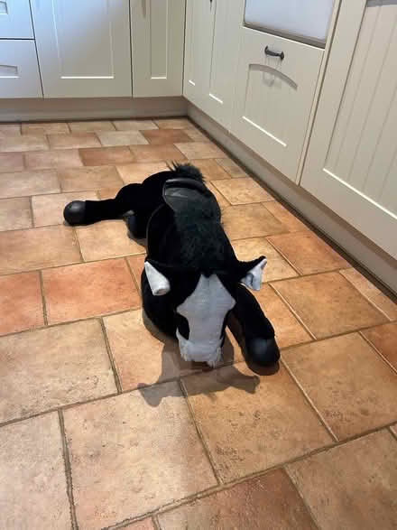 Photo of free soft toy horse (Church Street CT5) #3