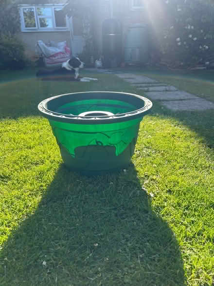 Photo of free Christmas tree stand (BA2, Bath.) #1