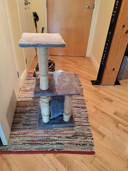Photo of free used scratching post (Little Italy) #2