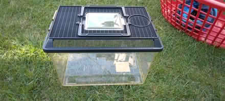 Photo of free Small rodent/fish tank (Shenley Church End MK5) #2