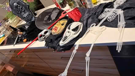 Photo of free Halloween items (St Margarets Twickenham TW1) #1