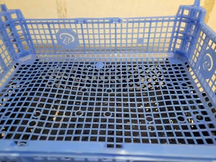Photo of free 8 stacking plastic trays (Springfield CM1) #2