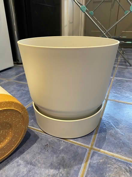 Photo of free Gardening stuff various (Milford-on-Sea SO41) #3