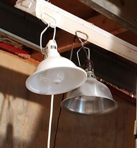 Photo of free Pair of clamp-on work lights (West Springfield) #1