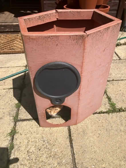 Photo of free Plastic, potatoe grower (BN43) #1