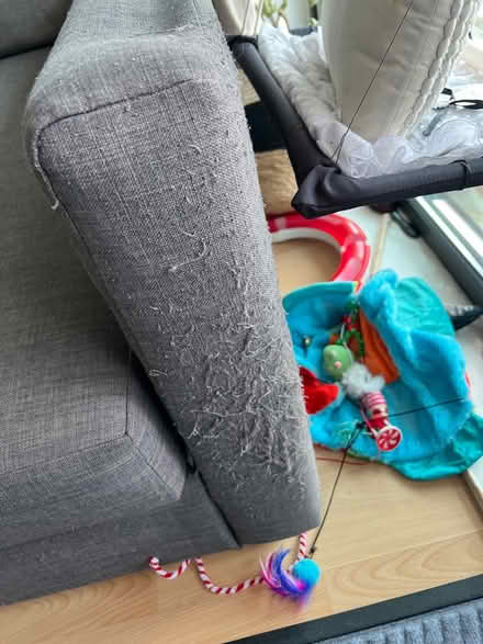 Photo of free Sofa bed (L8) #2