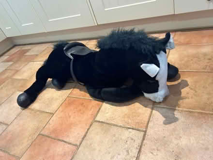 Photo of free soft toy horse (Church Street CT5) #2