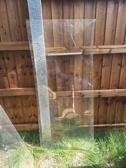 Photo of free Perspex sheets (South Green CM11) #2