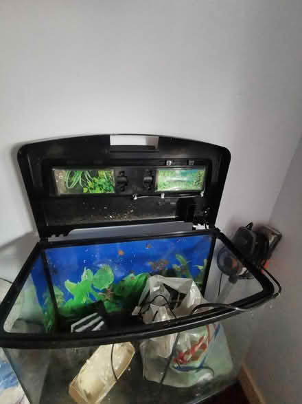 Photo of free Fish Tank (Parkstone BH14) #2