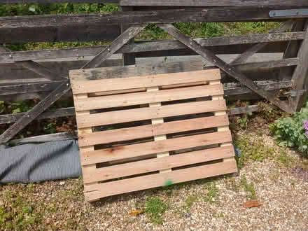 Photo of free Pallets x 2 (Binfield Heath RG9) #1
