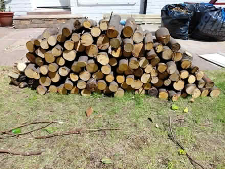 Photo of free Logs (Townsend AL3) #1