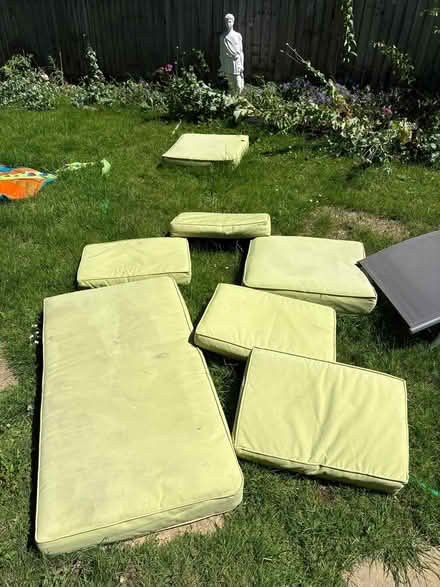 Photo of free Chair cushions (Polegate) #1