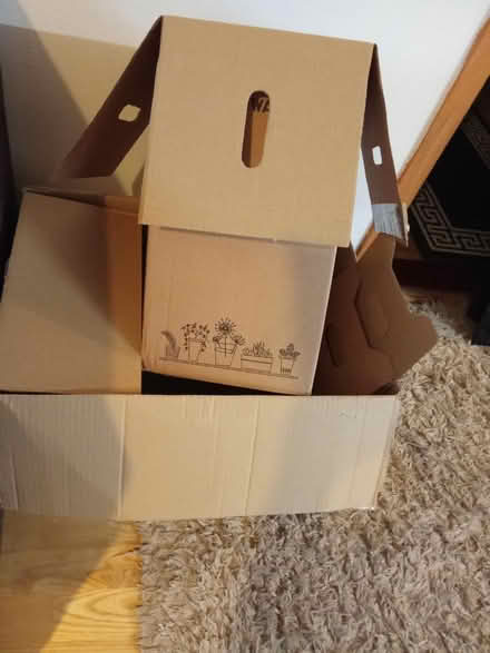 Photo of free Boxes (Willesborough) #1