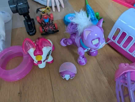 Photo of free Kids toys little electric animals (Fareham PO15) #3