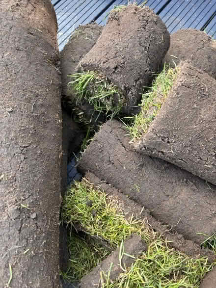 Photo of free Turf (SG4 0DU) #4
