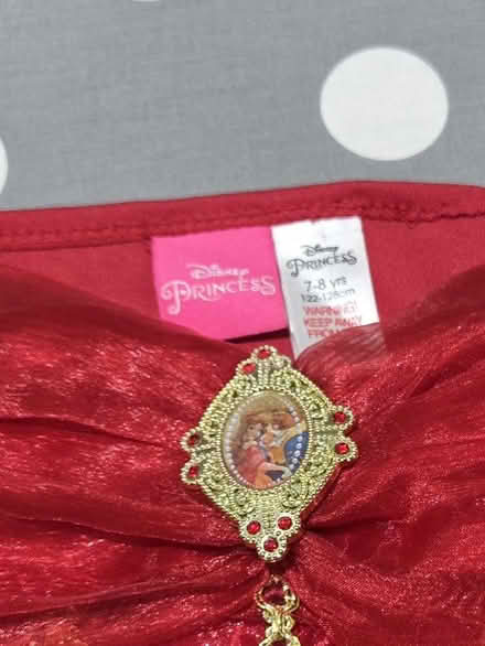 Photo of free Disney dress age 7-8 (Little Heath RG31) #2