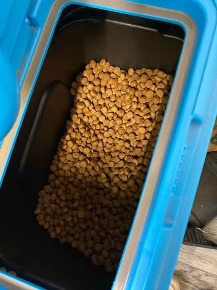 Photo of free 12-13kg of Aldi dog kibble (Northfield B31) #1