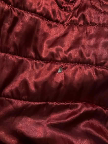 Photo of free Large silky bed throw blanket (Selhurst SE25) #4