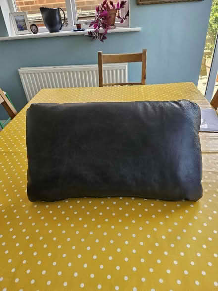 Photo of free Leather cushion (Buggs Bottom RG4) #1