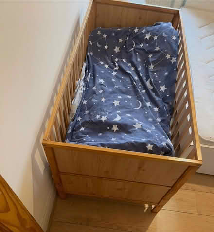 Photo of free cot bed for kids (South Croydon CR2) #1