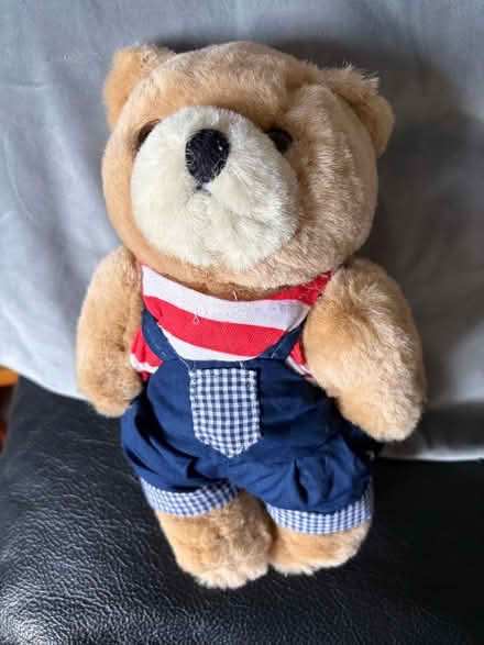 Photo of free Teddy (Westbury BA13) #1