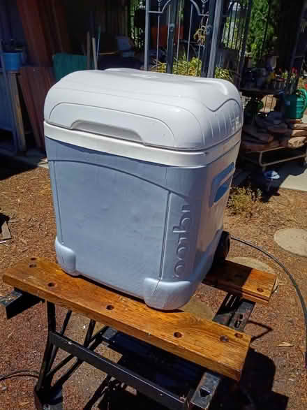 Photo of free Large Igloo Cooler (Vacaville) #1