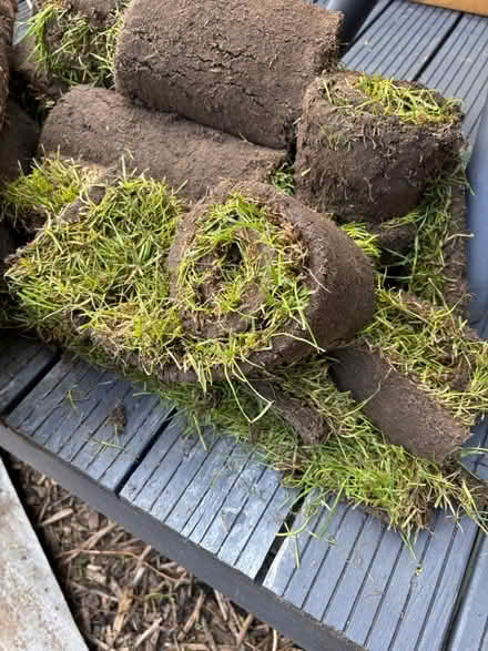 Photo of free Turf (SG4 0DU) #3