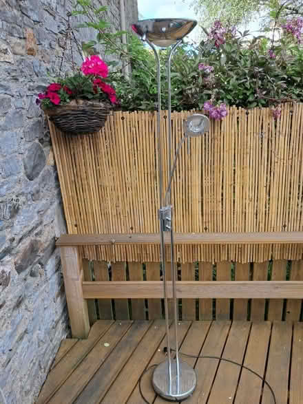 Photo of free Tall floor lamp (Buckfastleigh, Devon) #1