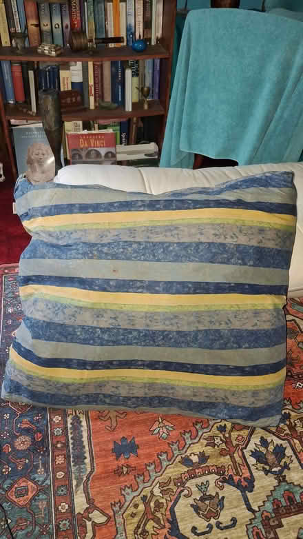 Photo of free Floor Cushion (Kemptown BN2) #1