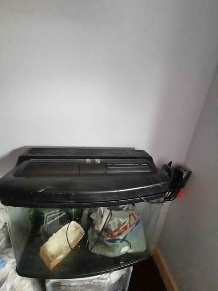 Photo of free Fish Tank (Parkstone BH14) #1