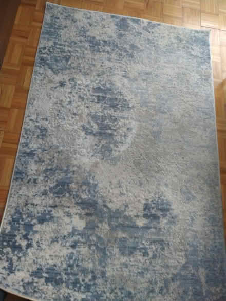 Photo of free Cozy area rug (Foggy Bottom) #1