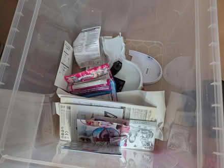 Photo of free Kids toys little electric animals (Fareham PO15) #1