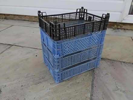 Photo of free Plastic Stacking Trays (Welwyn AL6) #1