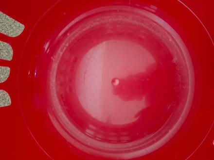 Photo of free Red plastic laundry basket (Welling DA16) #4