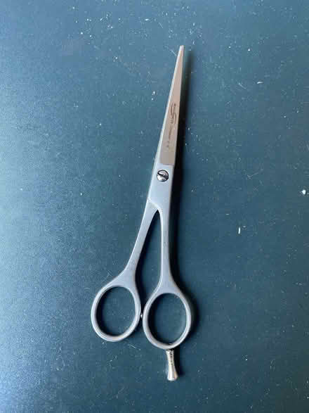 Photo of free Sharp scissors (Barnet) #1