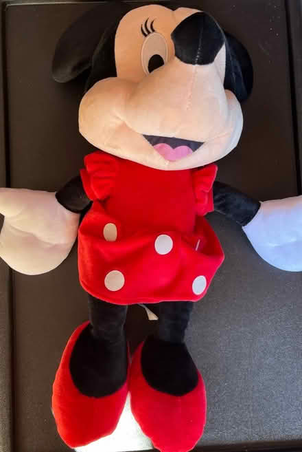 Photo of free Mickey and Minnie Mouse (High Wycombe HP12) #2