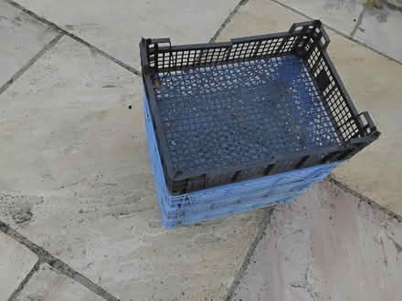 Photo of free Plastic Stacking Trays (Welwyn AL6) #3