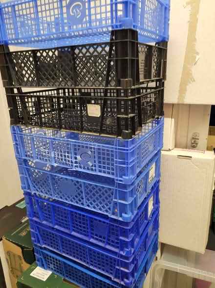 Photo of free 8 stacking plastic trays (Springfield CM1) #1