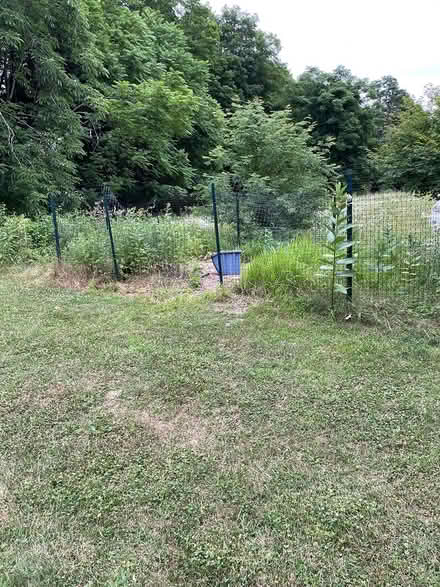 Photo of free Garden posts and deer fence (Stone Ridge, NY) #1