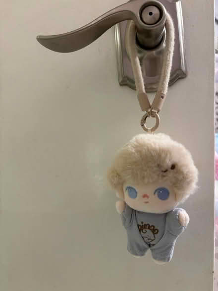 Photo of free POPMART keychain plush(see details) (Manhattan) #1