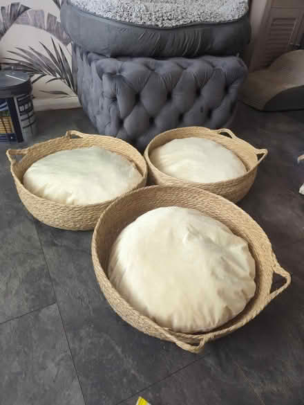 Photo of free 3 cat / small dog beds never used (Chessington KT9) #1